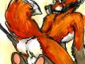 1184833020.java_foxdiscipline.jpg